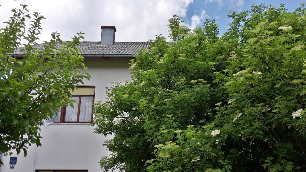 Hotel House Petkovic Korenica Zewnętrze zdjęcie