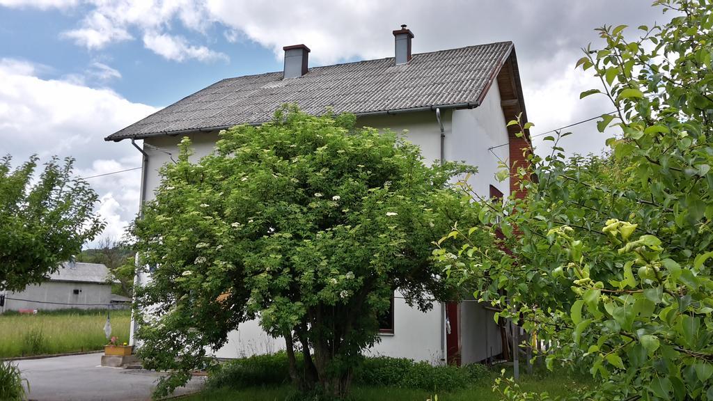 Hotel House Petkovic Korenica Zewnętrze zdjęcie