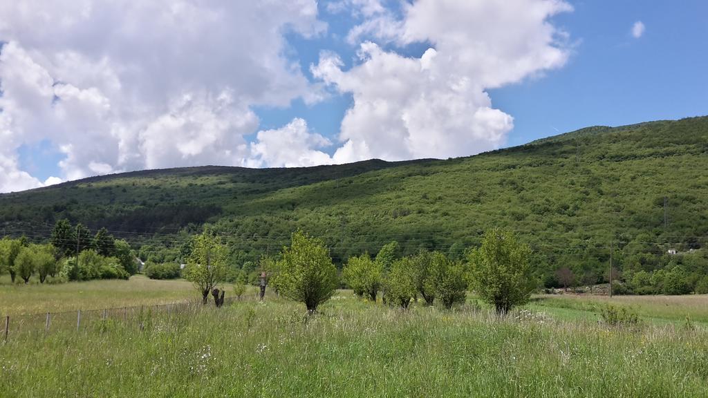 Hotel House Petkovic Korenica Zewnętrze zdjęcie